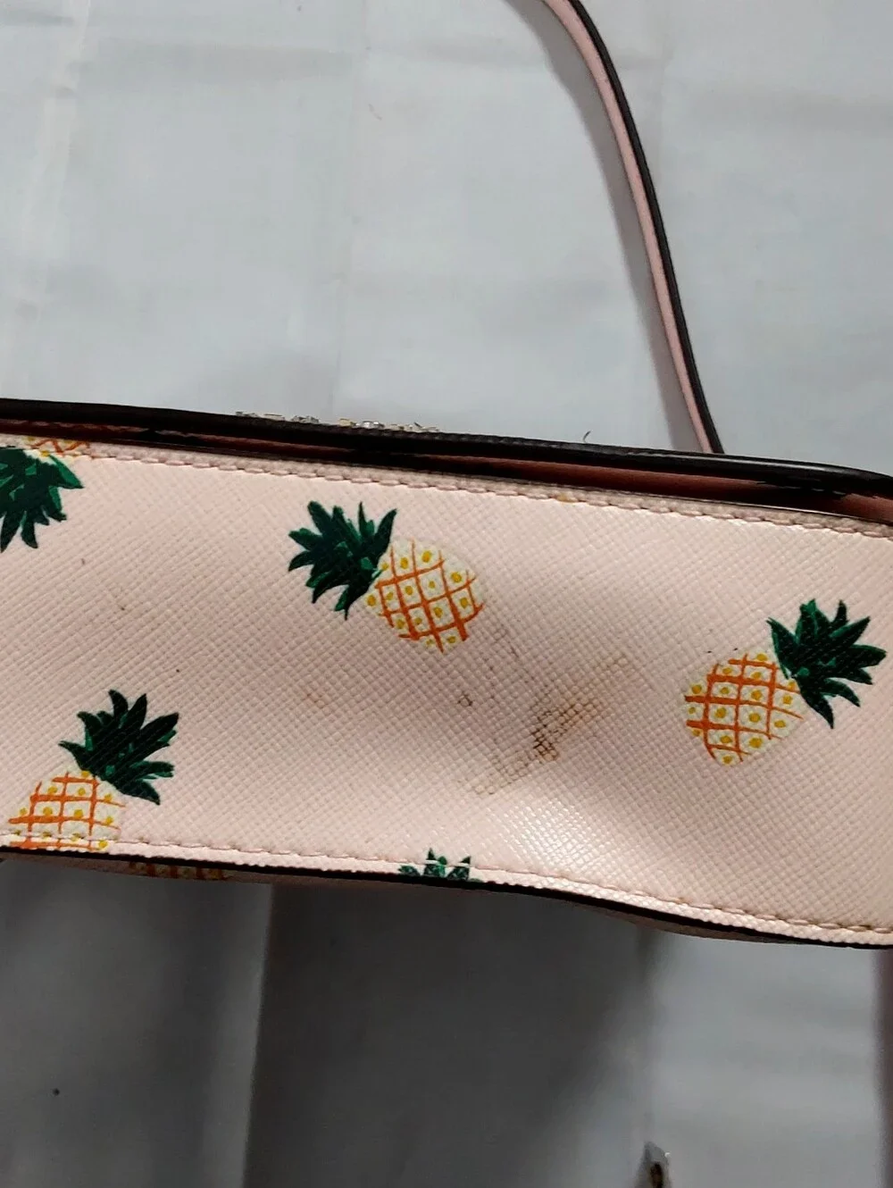 Kate Spade New York Staci Square Pineapple Printed  Bag